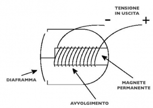 Schermata 11-2456617 alle 12.56.11