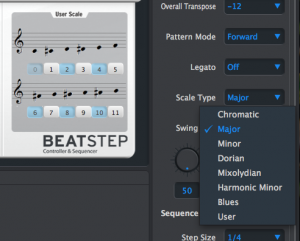 13 BeatStep Scale